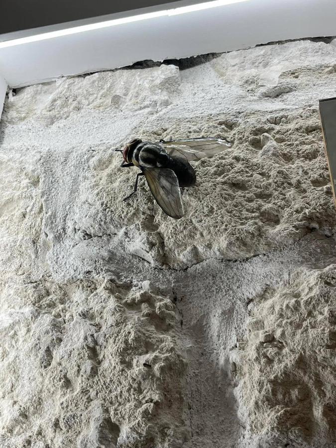 I Bastioni Apartment パレルモ エクステリア 写真